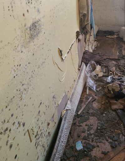 Mold water damage restoration