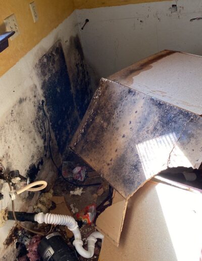 water damage restoration and mold remediation