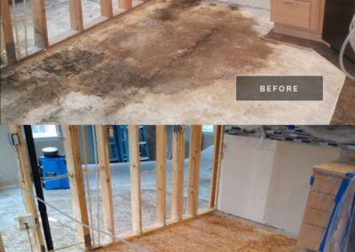 mold & water damage restoration