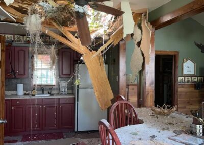 Hurricane, wind, tree, and water damage