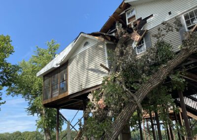 Hurricane, Wind, and Tree damage