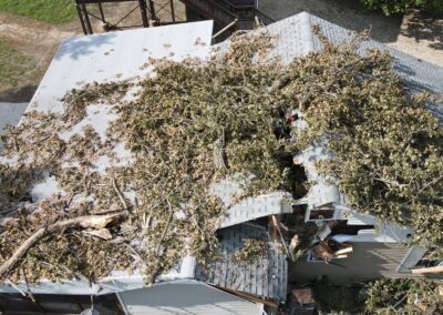 Hurricane and Tree Damage